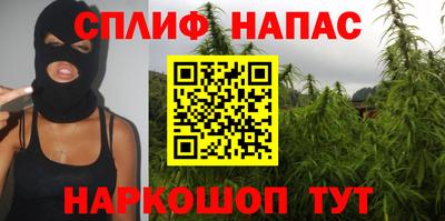 дмт Заводоуковск