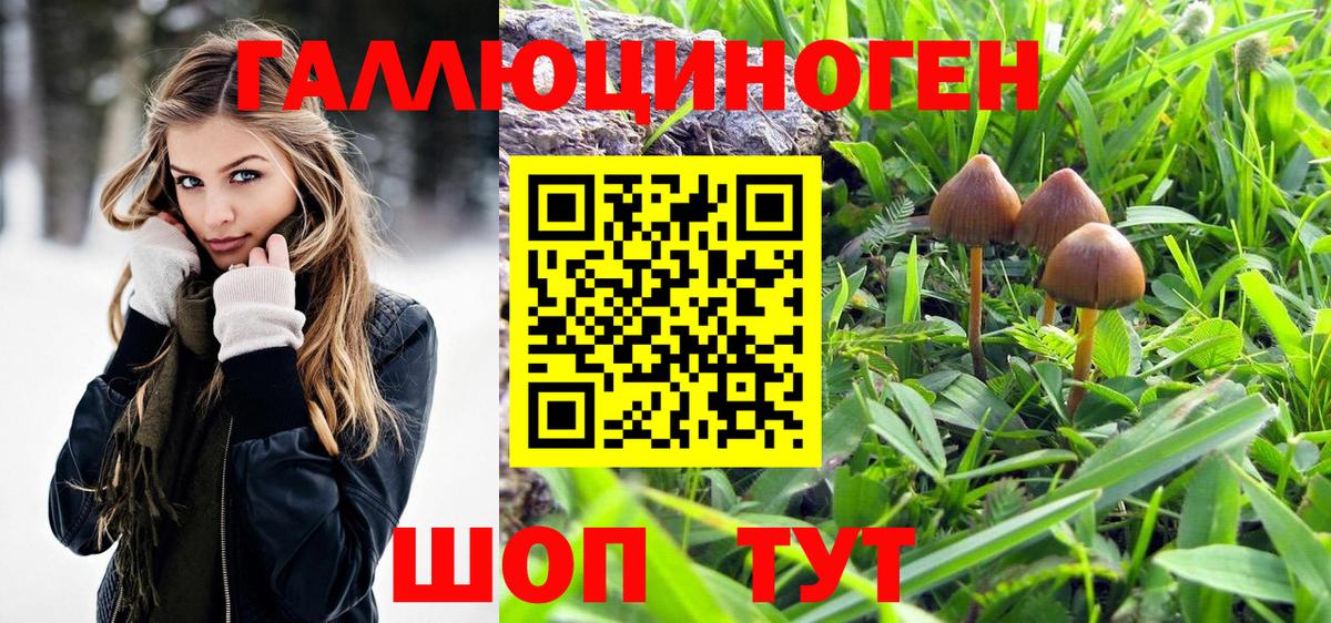 Верхняя Салда  цена   Вход с VPN  Галлюциногенные грибы Psilocybine cubensis 